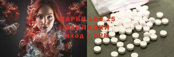 ГАЛЛЮЦИНОГЕННЫЕ ГРИБЫ Бугульма