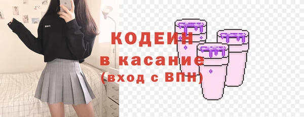 стаф Бородино