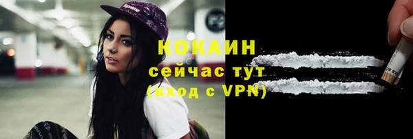 гидра Бронницы