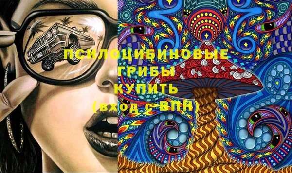 гидра Бронницы