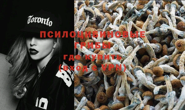 стаф Бородино