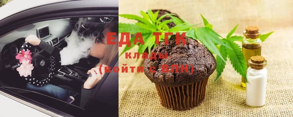 спиды Богородицк