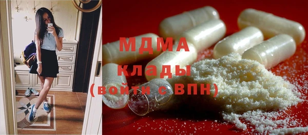 стаф Бородино