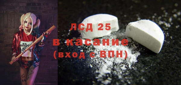 стаф Бородино