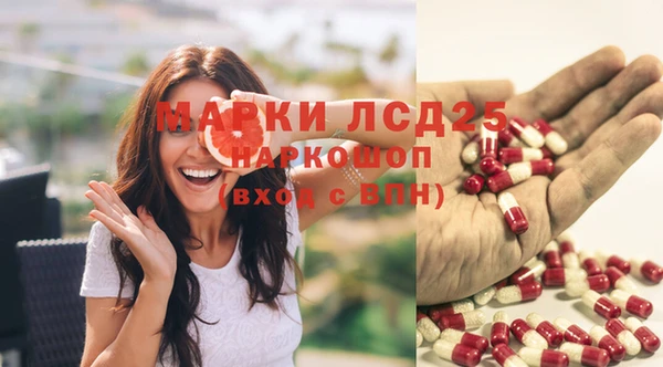 стаф Бородино