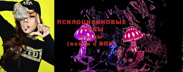 ГАЛЛЮЦИНОГЕННЫЕ ГРИБЫ Бугульма