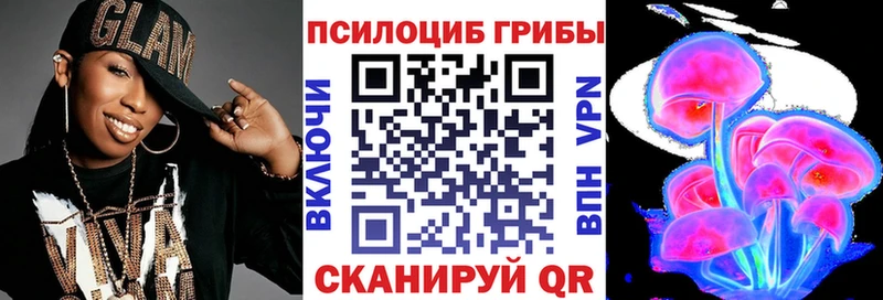 Купить  Лебедянь  Псилоцибиновые грибы Cubensis 